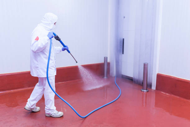 Best Solar Panel Cleaning  in Brookhaven, WV